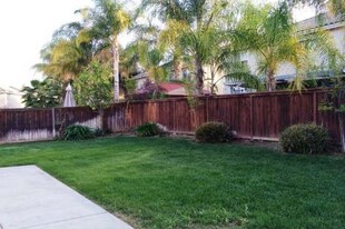 26256 Palm Tree Ln in Murrieta, CA - Building Photo