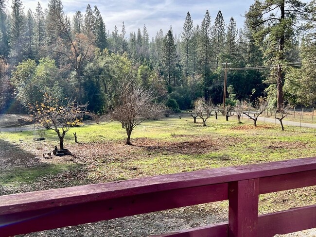 21151 Payton Ln in Pine Grove, CA - Building Photo - Building Photo
