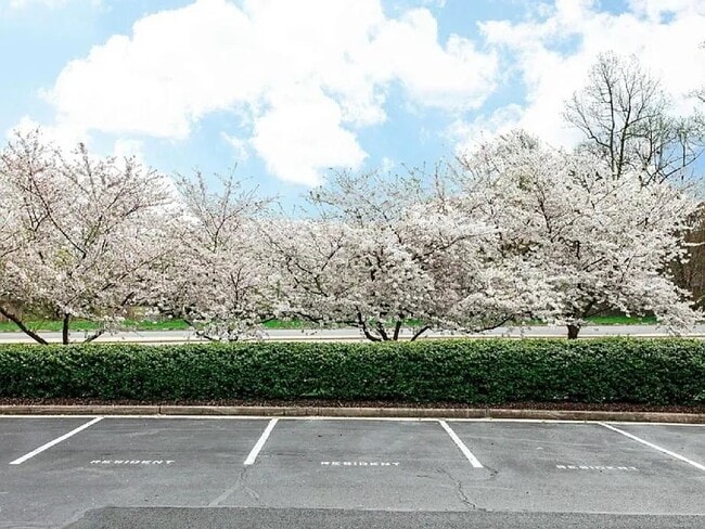 1236 Vintage Pl in Reston, VA - Building Photo - Building Photo