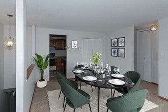 1306 Forestdale Ct in Schaumburg, IL - Foto de edificio - Building Photo