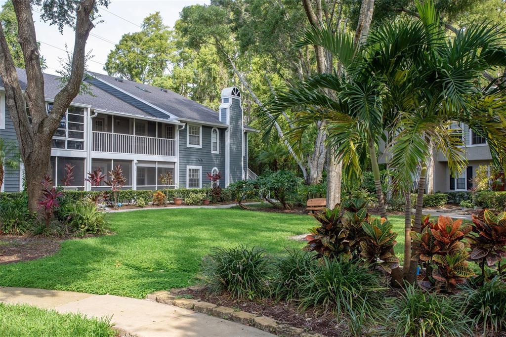2101 Fox Chase Blvd in Palm Harbor, FL - Building Photo