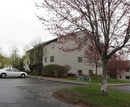 Nutgrove in Albany, NY - Foto de edificio - Building Photo