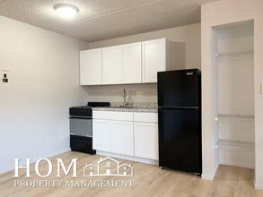 107 E Liberty St, Unit 3 in Mankato, MN - Building Photo - Building Photo
