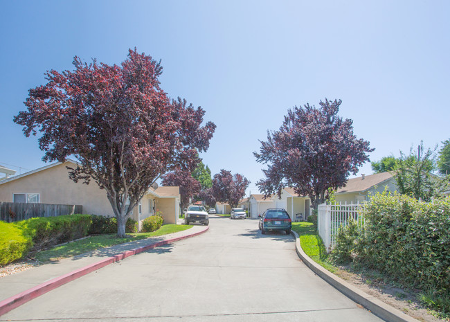 Bartlett Village Homes in Hayward, CA - Foto de edificio - Building Photo