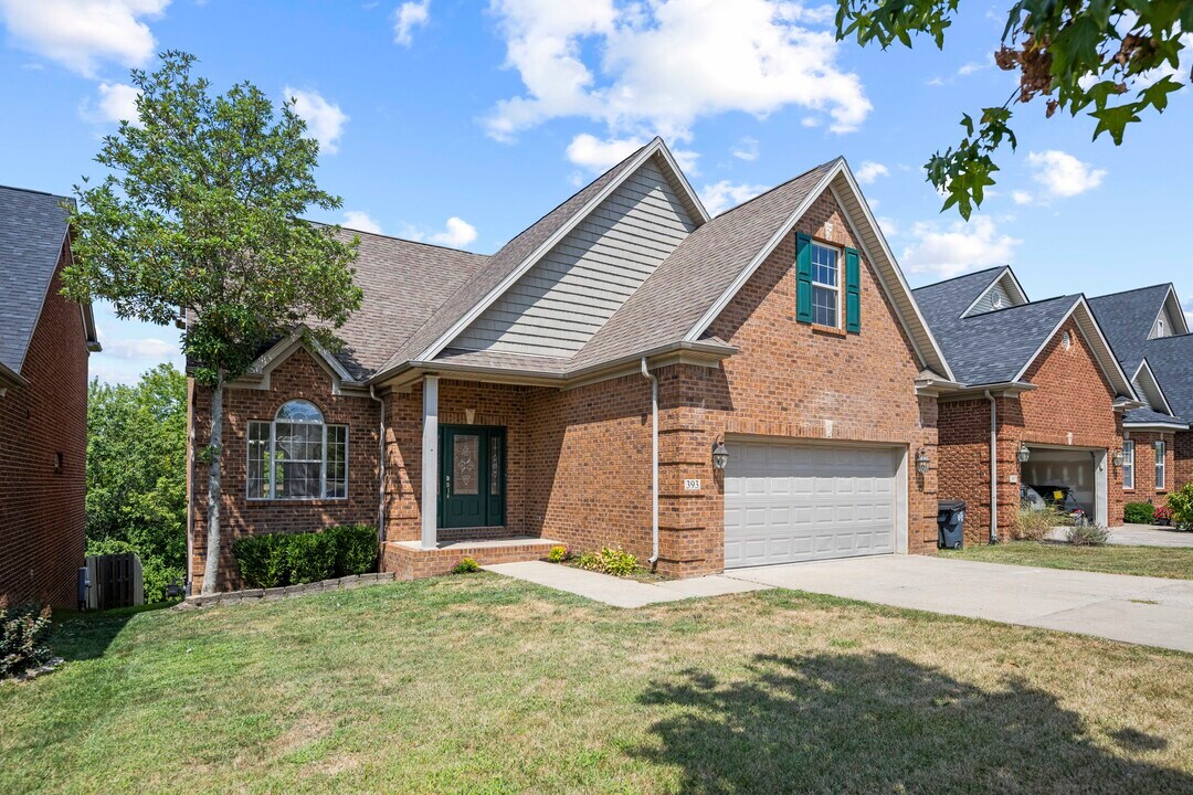 393 Hays Blvd in Lexington, KY - Building Photo