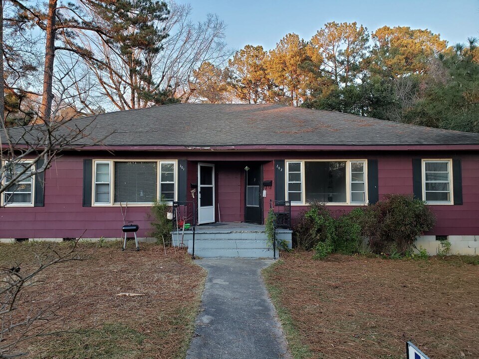 203 Williamson St in Louisburg, NC - Building Photo