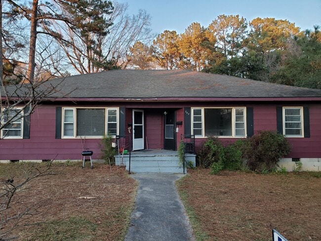 property at 203 Williamson St