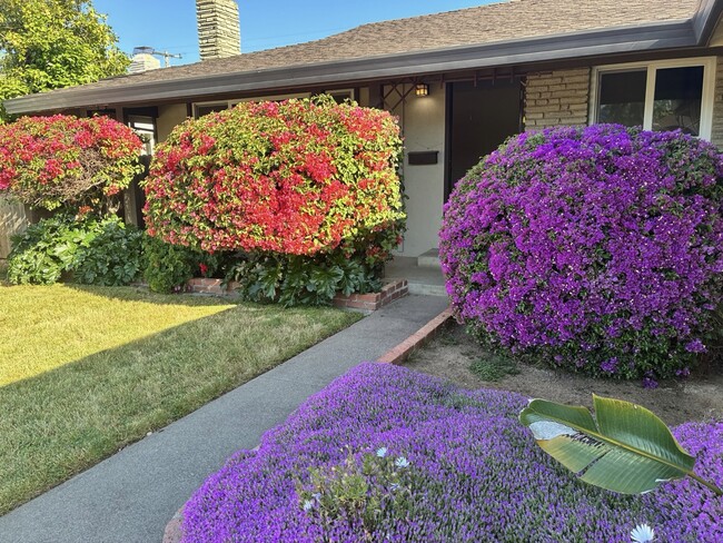 property at 3236 Rosemont Dr