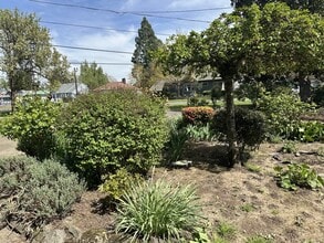 795 E College St in Mt Angel, OR - Building Photo - Building Photo