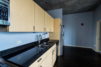 1720 S Michigan Ave, Unit S Loop Condo in Chicago, IL - Building Photo - Building Photo