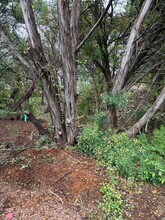 7214 Comstock Cove in Lago Vista, TX - Foto de edificio - Building Photo