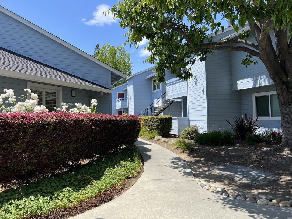 Windemere Apartments in Sunnyvale, CA - Foto de edificio