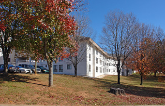 Bartlett Arms Apartments in Asheville, NC - Building Photo - Building Photo