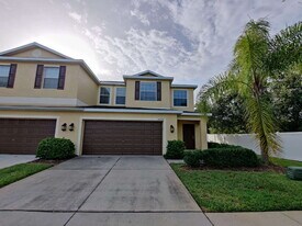 20238 Pond Apple Ln in Tampa, FL - Building Photo