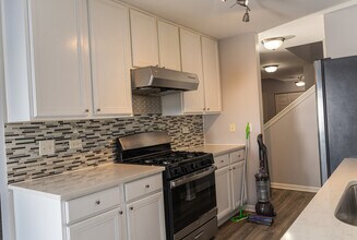 228 W Fairview Way in Palatine, IL - Building Photo - Building Photo