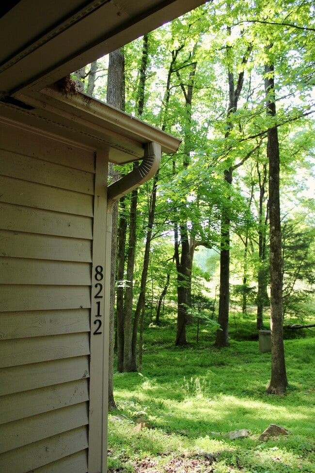 8212 S Lowell Rd in Bahama, NC - Foto de edificio - Building Photo