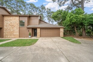 20271 Sunny Shores Dr in Humble, TX - Building Photo
