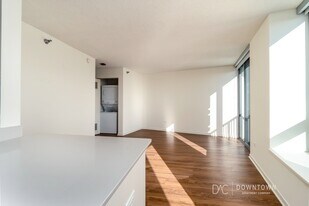 511 N Kingsbury St in Chicago, IL - Building Photo