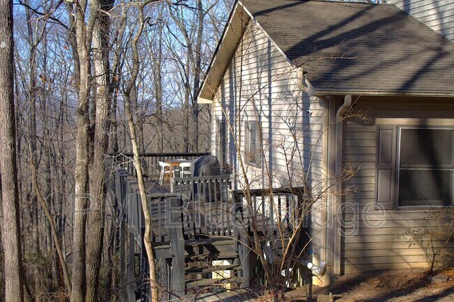 154 Laurel Haven Rd in Fairview, NC - Building Photo - Building Photo