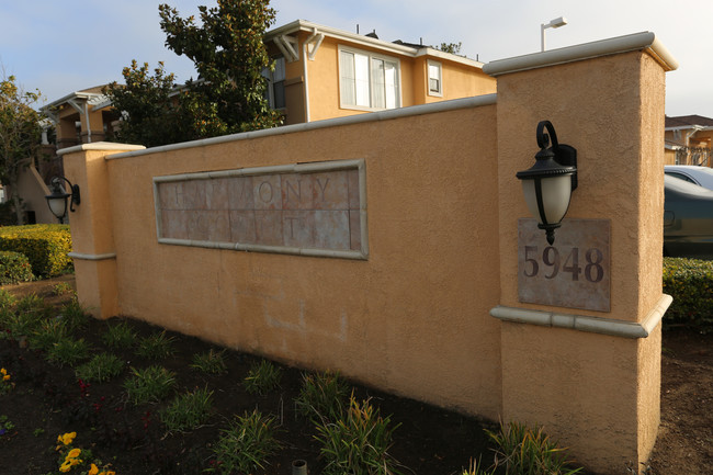 Harmony Court in Bakersfield, CA - Building Photo - Building Photo