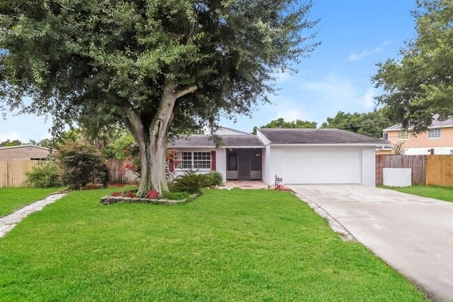 property at 6558 Timucuans Dr