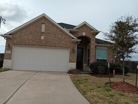 24722 Lake Basin Ct in Katy, TX - Building Photo