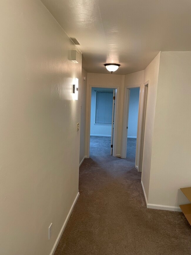 3544 Clover Meadows Dr in Chesapeake, VA - Building Photo - Building Photo