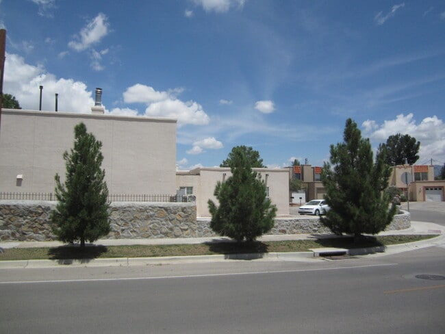 215 Mulberry Ave in El Paso, TX - Building Photo - Building Photo