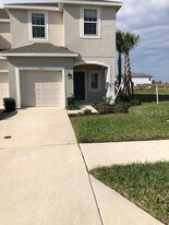 2313 Alee Ln in Wesley Chapel, FL - Building Photo