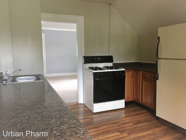 461 Spring Ave NE in Grand Rapids, MI - Building Photo - Building Photo