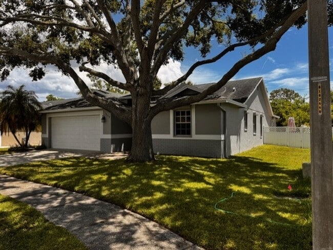 2519 Southern Oak Cir in Clearwater, FL - Building Photo - Building Photo