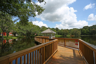 Grande Oasis at Carrollwood in Tampa, FL - Foto de edificio - Building Photo