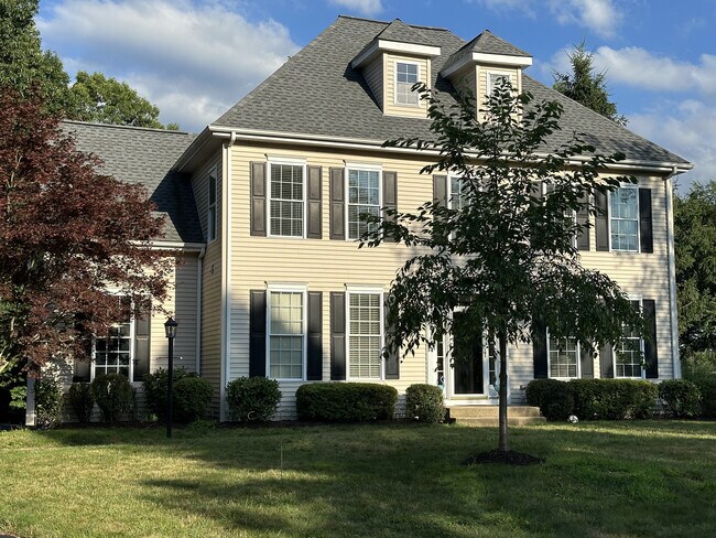 41 Buckingham Rd in Avon, CT - Building Photo - Building Photo