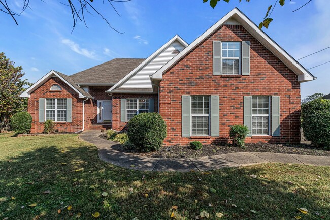 property at 207 Andy Johns Dr