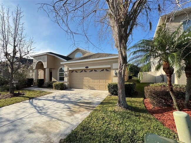 10756 Breaking Rocks Dr in Tampa, FL - Building Photo - Building Photo