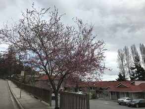 525 Perry Pl in Friday Harbor, WA - Building Photo - Building Photo