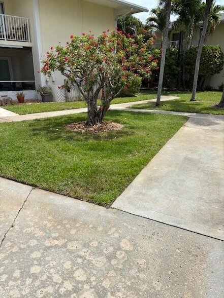 property at 805 Hummingbird Way