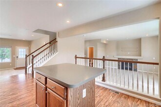 1696 Odyssey Ct in Castle Rock, CO - Building Photo - Building Photo
