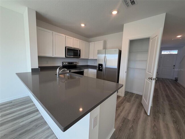 17212 English Chestnut Wy in Land O Lakes, FL - Building Photo - Building Photo