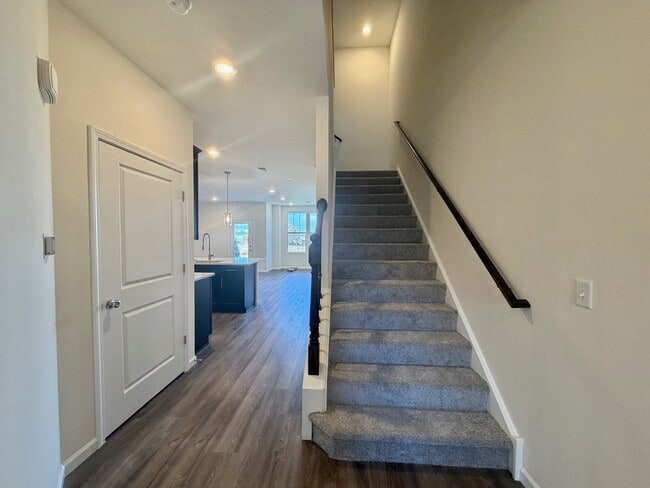 704 Switchgrass Wy in Bolingbrook, IL - Building Photo - Building Photo