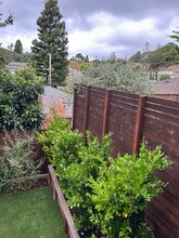 2504 Ralston Ave in Belmont, CA - Building Photo - Building Photo