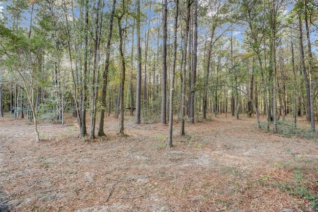 property at 1619 Chisos Bnd