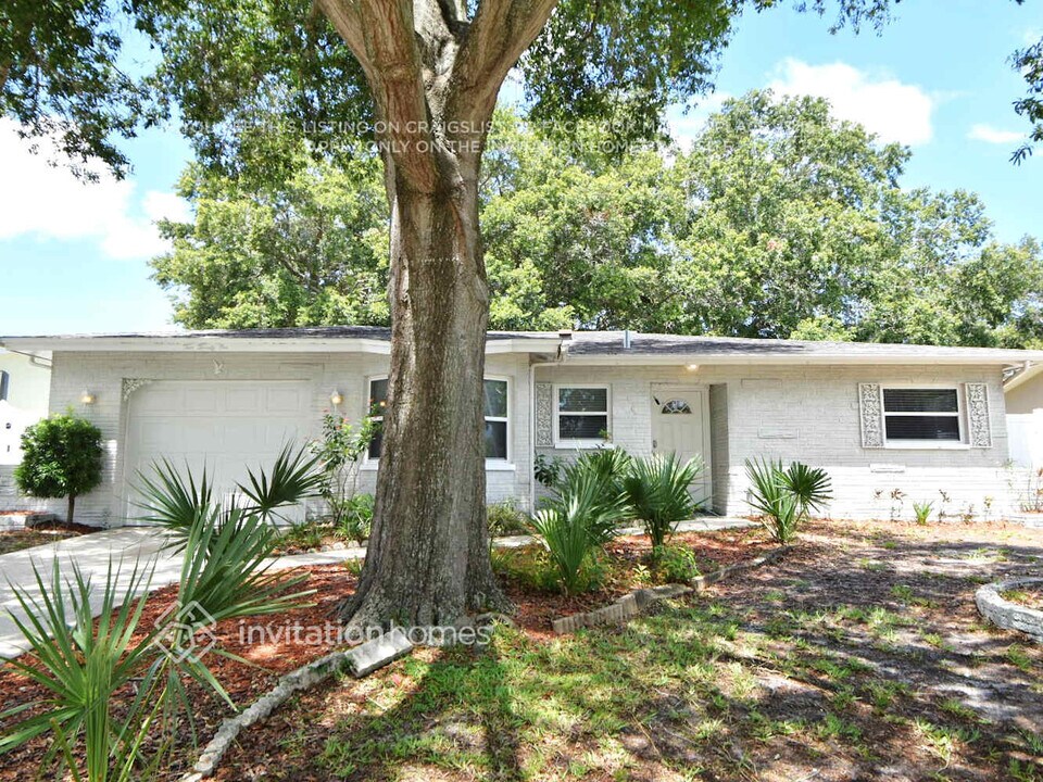 221 Morgan Ct in Palm Harbor, FL - Building Photo