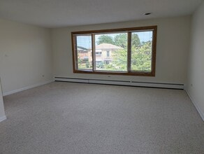 8734 Wisner St in Niles, IL - Building Photo - Building Photo