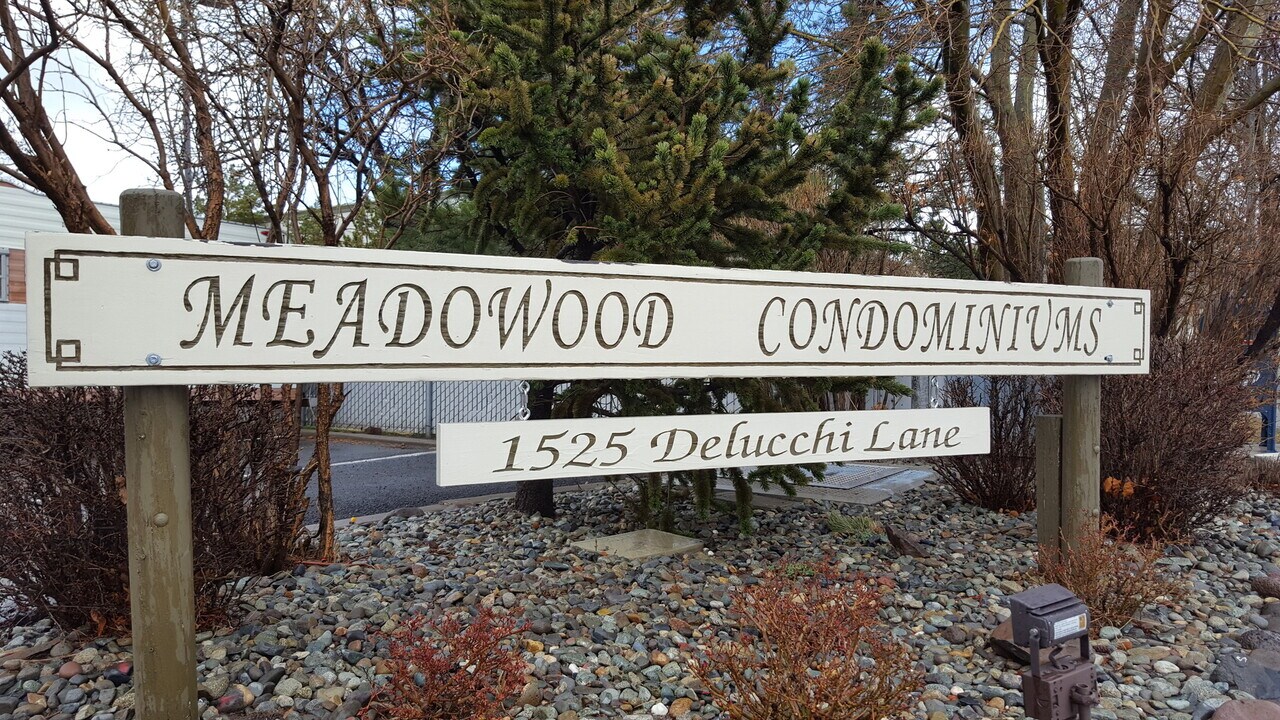1527 Delucchi Ln in Reno, NV - Building Photo