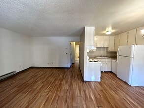 1209 W Plum St in Fort Collins, CO - Building Photo - Building Photo