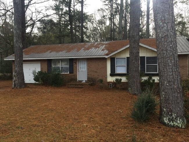 196 Merlin Dr in Athens, GA - Building Photo - Building Photo