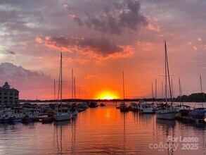 18861 Vineyard Point Ln in Cornelius, NC - Building Photo - Building Photo