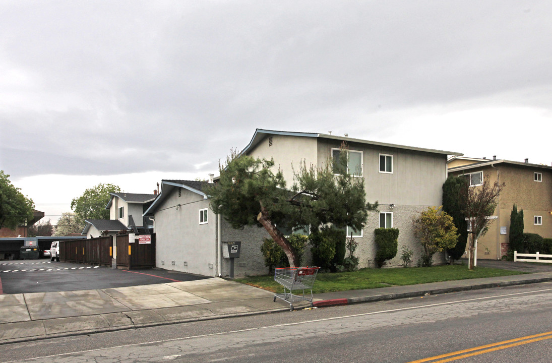 3538 Agate Ct in Santa Clara, CA - Building Photo