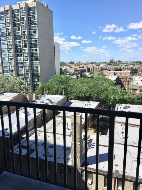 2740 N Pine Grove Ave in Chicago, IL - Building Photo - Building Photo